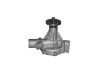 Water Pump:21010-66000